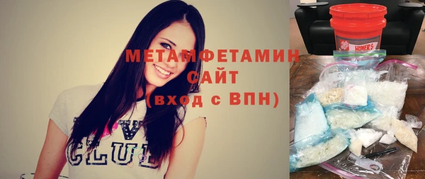 прущие грибы Верея
