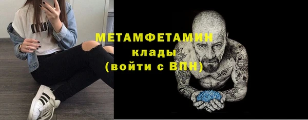 прущие грибы Верея