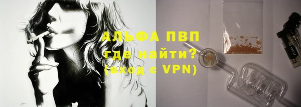 ПСИЛОЦИБИНОВЫЕ ГРИБЫ Бородино