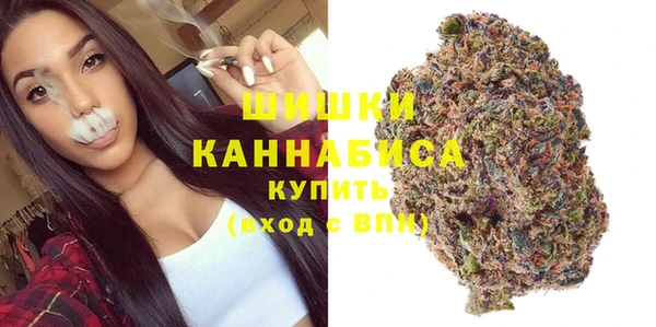прущие грибы Верея