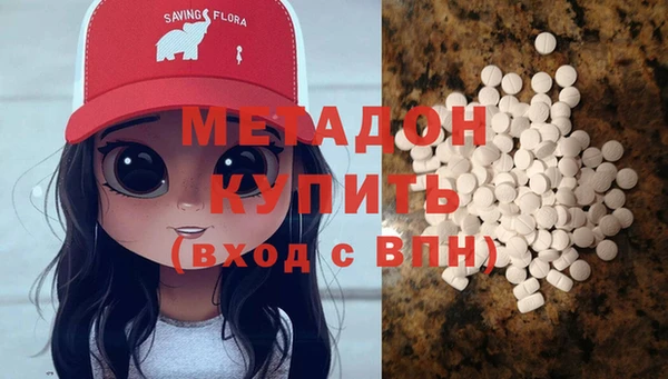 прущие грибы Верея