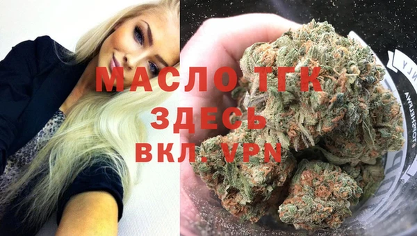 прущие грибы Верея