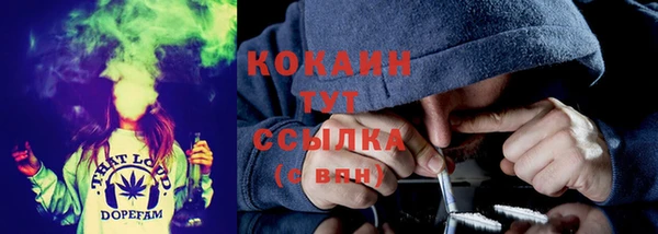 прущие грибы Верея