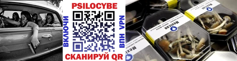 Купить где  Лангепас  Псилоцибиновые грибы MAGIC MUSHROOMS 